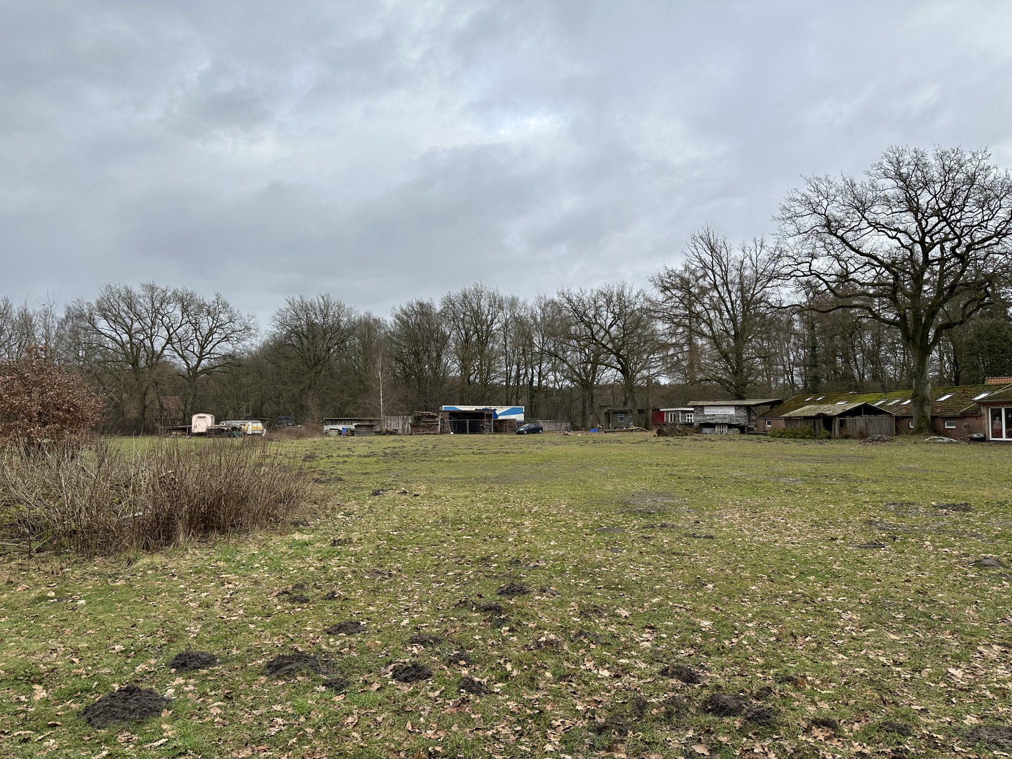 Wiese mit Blick nach hinten